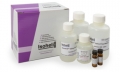 Isohelix High Purity Saliva-Prep 2 DNA Isolation kit to process saliva