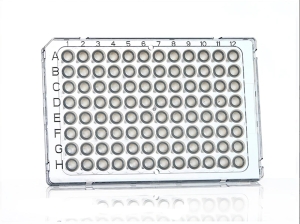 FrameStar-96er-qPCR-Platte-Semi-skirted-Frosted--fr-ABI-Cycler-50-Platten