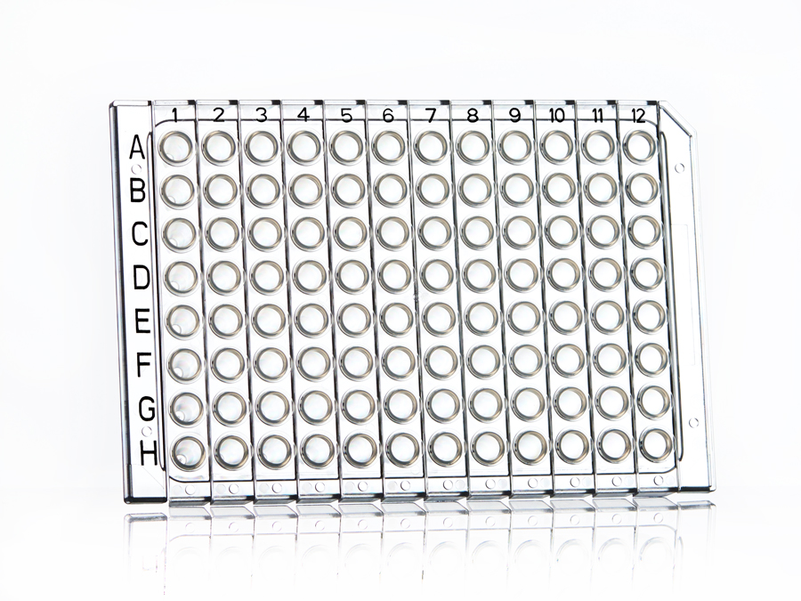 Bild 1 von FrameStar® 96-Well PCR-Platten semi-skirted, low profile, perforiert  / (Rahmenfarbe) Klar