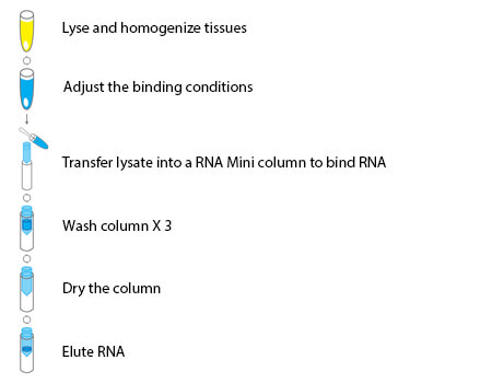 Bild 1 von Omni Beadmill Tissue RNA Purification Kit inkl. Beads