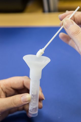 Bild 1 von Isohelix 1ml Assisted GeneFiX™  DNA Saliva Collector  / (Anzahl Proben) 12