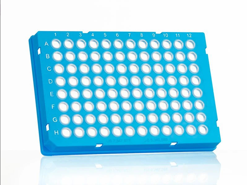 Bild 1 von FrameStar® 96er qPCR-Platte, Skirted, Low Profile, 50 Stück  / (Rahmenfarbe) Blau