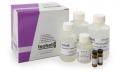 Isohelix GeneFiX™  High Purity Saliva-Prep 2 DNA Isolation kit to process saliva