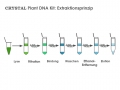 Bild 2 von CRYSTAL Plant DNA Kit  / (Anzahl Präparationen) 10