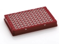 Bild 2 von FrameStar® 96er qPCR-Platte, Skirted, Low Profile, 50 Platten  / (Rahmenfarbe) Rot