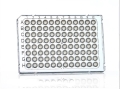 FrameStar® 96er qPCR-Platte, Semi-skirted, Frosted,  für ABI-Cycler, 50 Stück