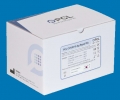 COVID-19 Antigen Schnelltest aus Saliva