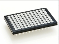 Bild 2 von FrameStar® 96er qPCR-Platte, Semi-skirted, für ABI-Cycler, 50 Stück