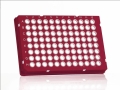 Bild 1 von FrameStar® 96er qPCR-Platte, Skirted, Low Profile, 50 Platten  / (Rahmenfarbe) Rot