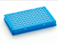 Bild 2 von FrameStar® 96er qPCR-Platte, Skirted, Low Profile, 50 Stück  / (Rahmenfarbe) Blau
