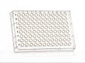 FrameStar® 96er qPCR-Platte, Skirted, Low Profile, 50 Stück