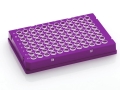 Bild 2 von FrameStar® 96er qPCR-Platte, Skirted, Low Profile, 50 Platten  / (Rahmenfarbe) Purpur